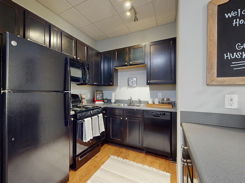 Modern Kitchen with Wood-Style Flooring and Black Appliances at University Plaza NIU Apartments