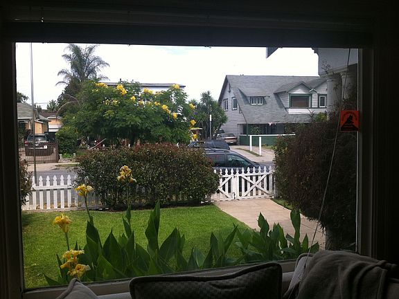 view from den window