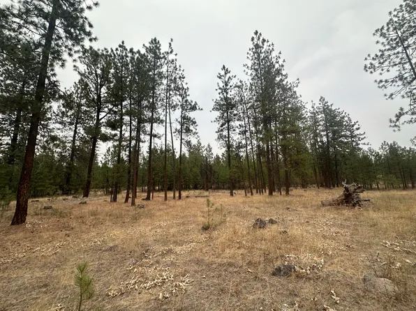 7650 Sands Street Way, Ford, WA 99013