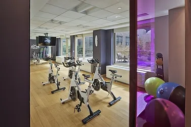 Rented by MOTION New York