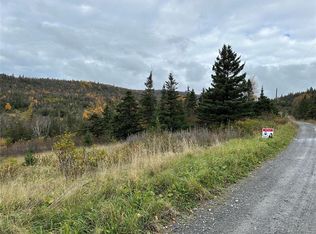 Lots 0 3 Neddies Harbour Rd, Norris Pt, NL A0K3V0