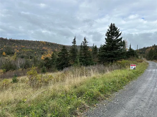 Lots 0-3 Neddies Harbour Road, Norris Point, NL A0K3V0