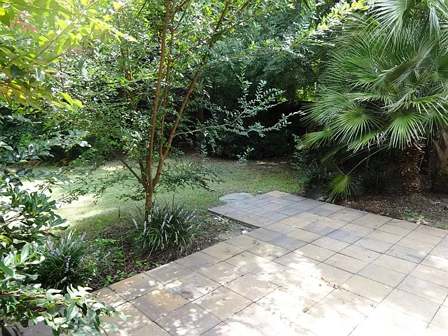 1236 Shadow Mist Ln — Photo 16