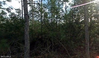 2nd image of 9830 Councilor Ln