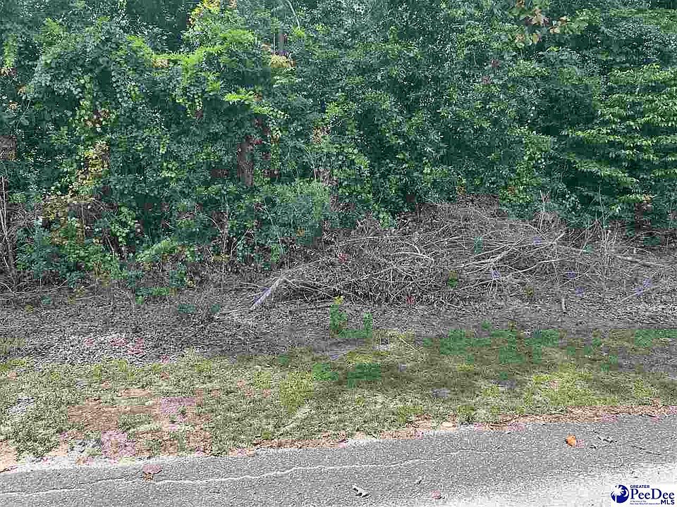 1st image of Holly Cir