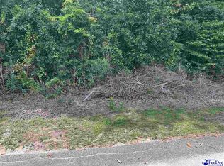 Holly Cir, Darlington, SC 29532
