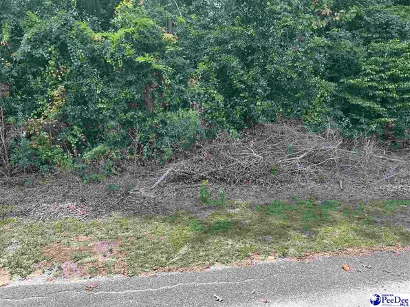 Holly Cir, Darlington, SC 29532