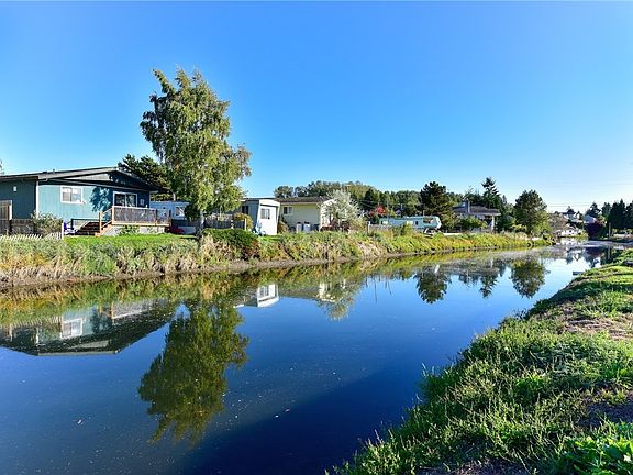 Terrell Creek view from back deck