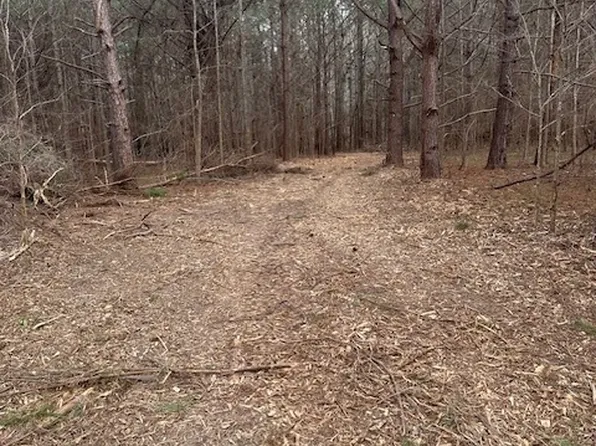 0 Main St Lot 3, Milner, GA 30257