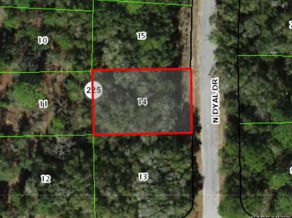 10119 N Dyal Dr, Citrus Springs, FL 34434