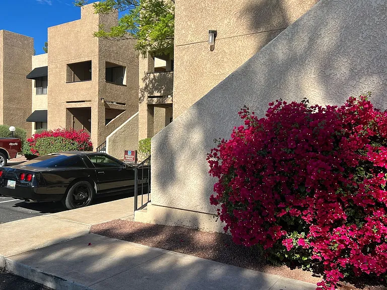 The Fountains — Photo 36