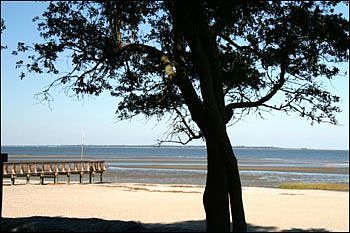 New boardwalk with picnic area and swings to enjoy the view