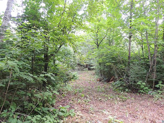 5th image of 210 E Deeryard Lake Rd