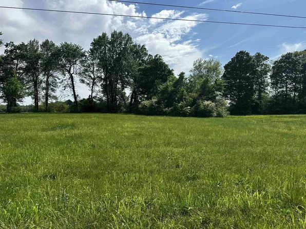 0 Catfish Ln Lot 21, Crump, TN 38327