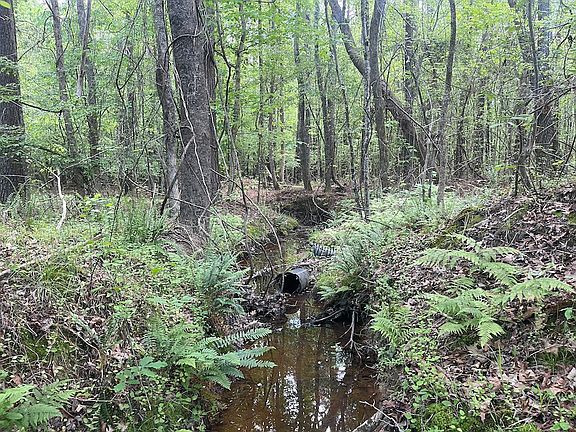4th image of Off Of Reges Store Rd Lot Wp001