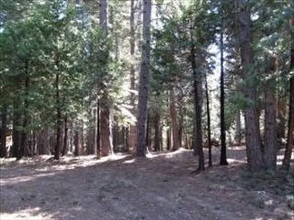 4784 Meko Dr, Camp Connell, CA 95223