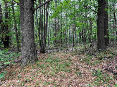 0 Carpenter Hill Road, Walpole, NH, 03608
