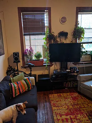 Rented by Owner | media 5