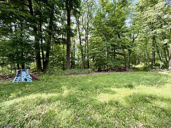 5th image of 88 Quenby Mountain Rd