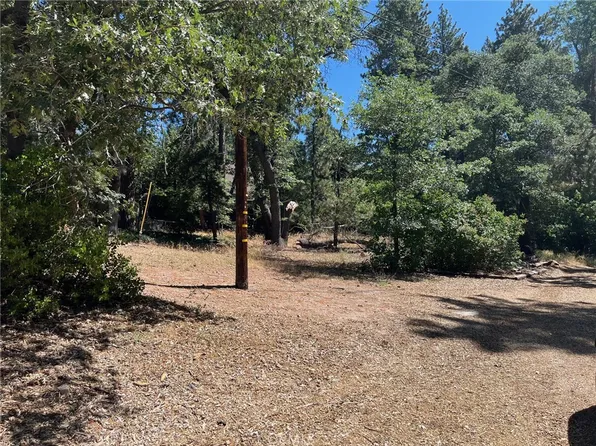 34 Tulip Ln #34, Running Springs, CA 92382