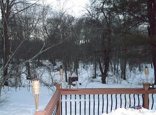5th image of 12 Morse Ln