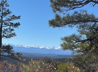 15842 Ponderosa Loop #1 & 2, Boncarbo, CO 81024