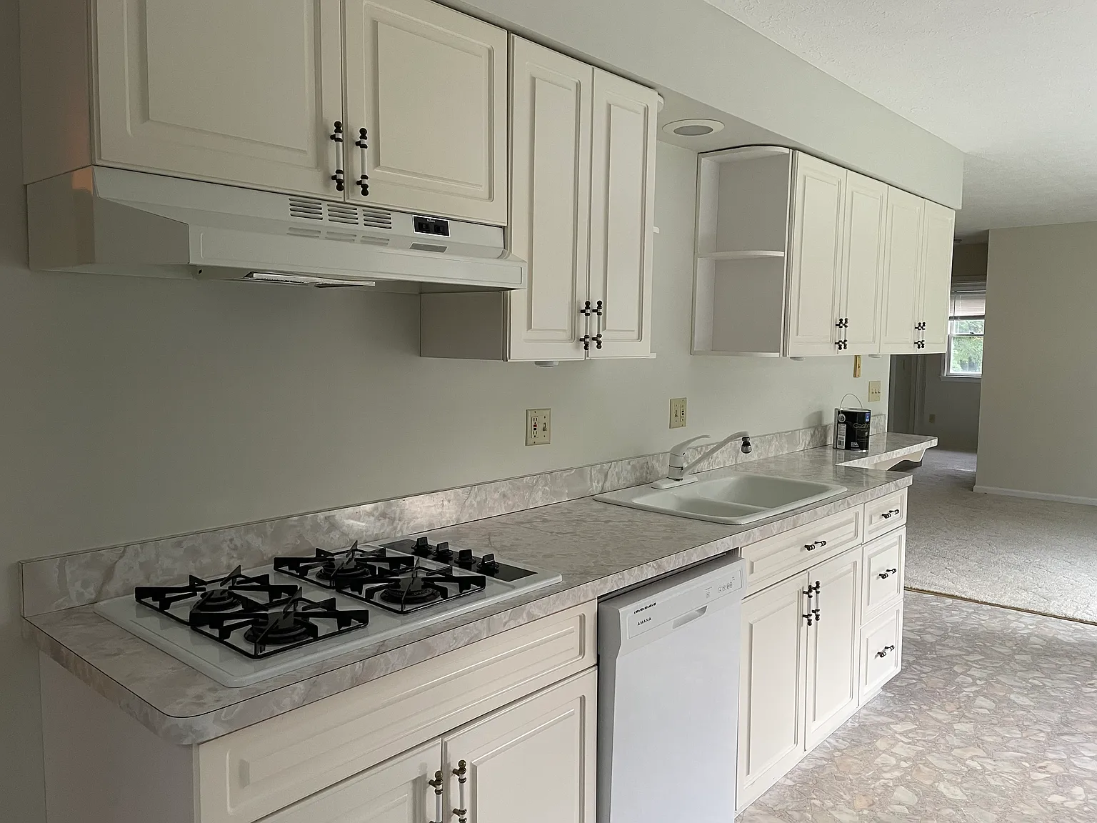 245 Greenview Dr — Photo 3