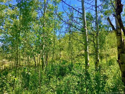 136 S Pine Meadow Dr, Coalville, UT, 84017