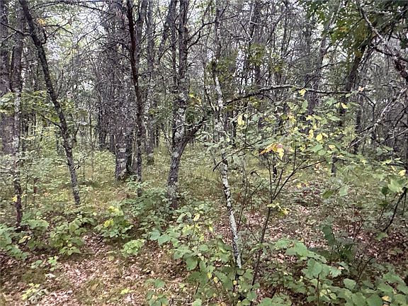 5th image of TBD Hayden Lake Road