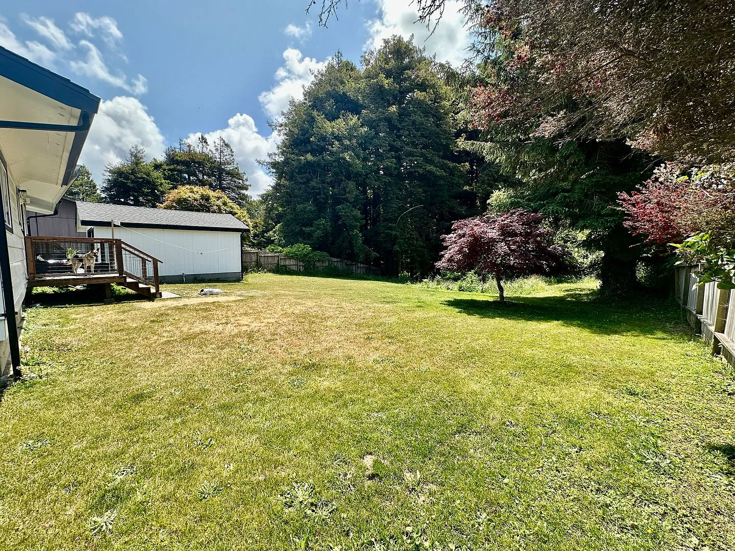 Beautifully Remodeled Home Backing Up to the Redwoods — Photo 4