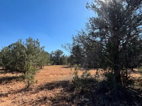 0 Gun Flint Trl, Ash Fork, AZ 86320