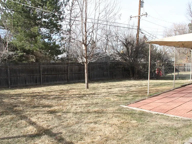 Back Yard