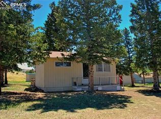 116 Hettig Ave, Cripple Creek, CO 80813