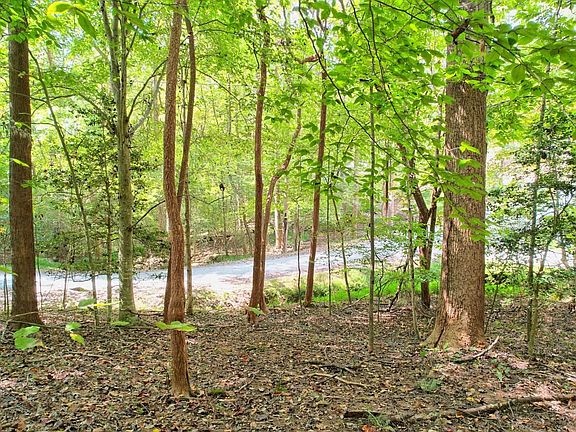 3rd image of 0 Oak Hollow Ct
