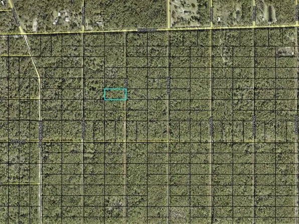 X Fred Ave Lot 315, Hastings, FL 32145