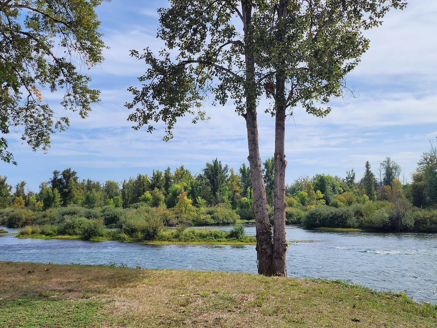 2 bed, 875 sqft, $2,200 — Photo 4
