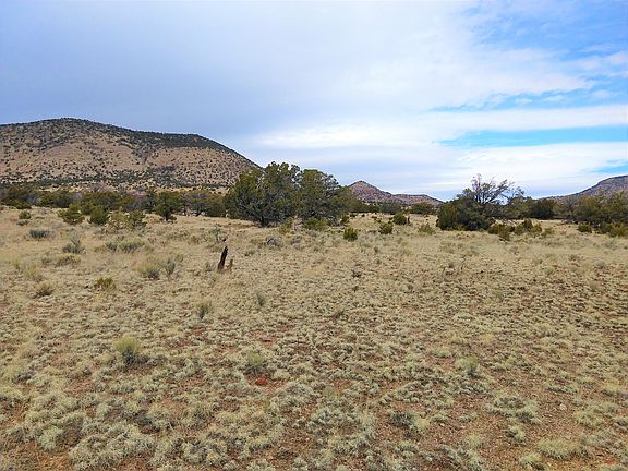 41 Wildwood Loop, Datil, NM 87821 | MLS #1030595 | Zillow