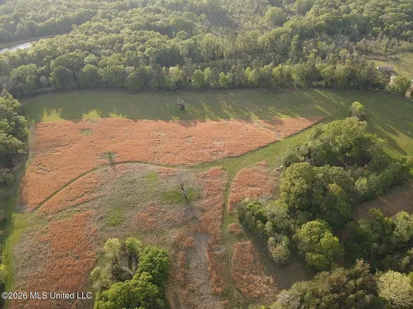 0 Newman Rd, Edwards, MS 39066