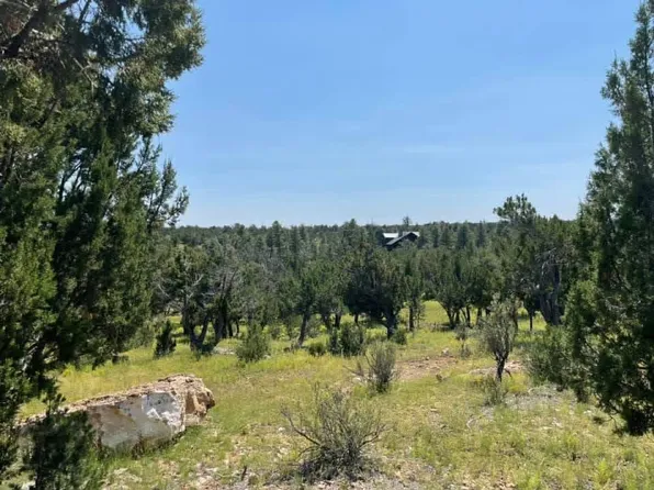 4367 Sunset Ridge Loop, Happy Jack, AZ 86024