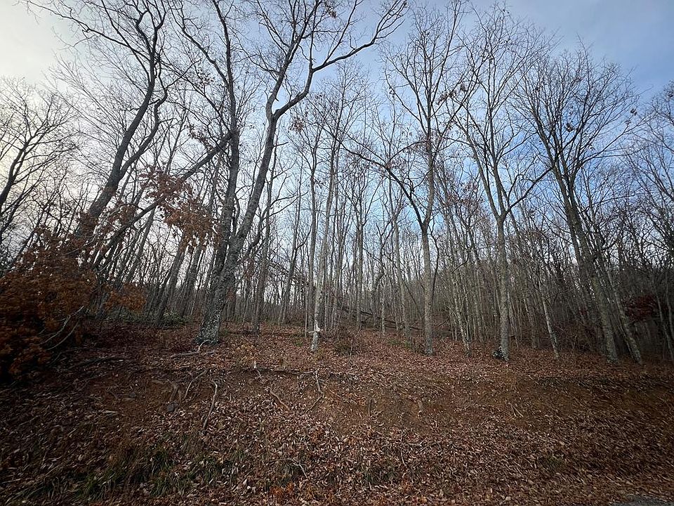 2nd image of LOT 65 Cove Creek Rd