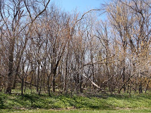 4th image of .50 Driftwood Beach Rd