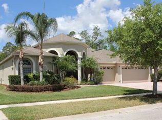 17362 Emerald Chase Dr, Tampa, FL 33647
