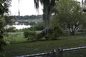 another backyard view