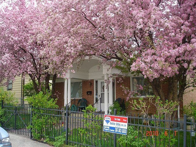 1st image of 806 Young Ave