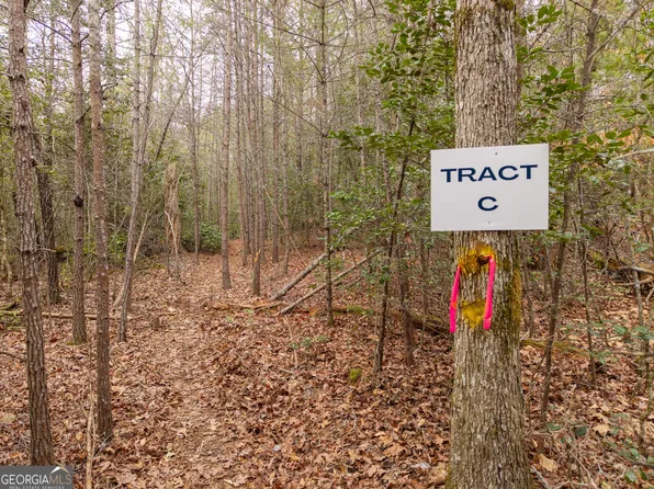 Township Road C East New Hope Rd, Ellijay, GA 30536