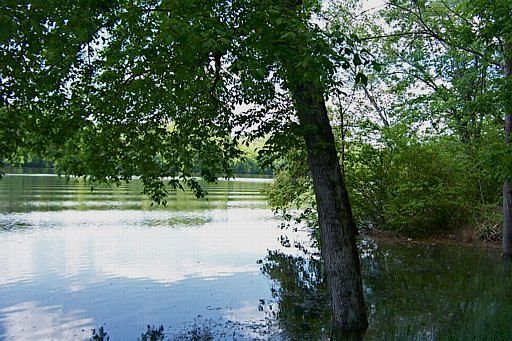 1st image of Willow Dr
