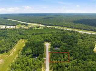 222 Hollow Hill Dr, New Waverly, TX 77358