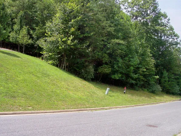 Tbd Robindale Ct, Buena Vista, VA 24416