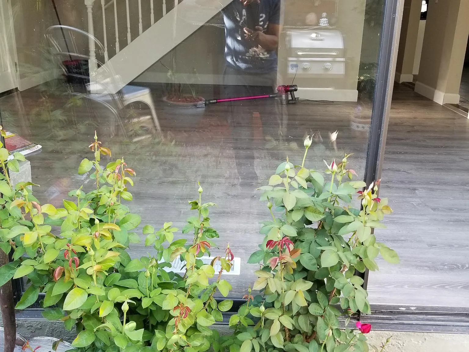 2 bed, 1263 sqft, $3,800 — Photo 3