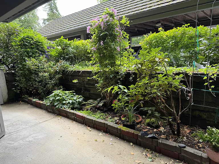Outdoor garden